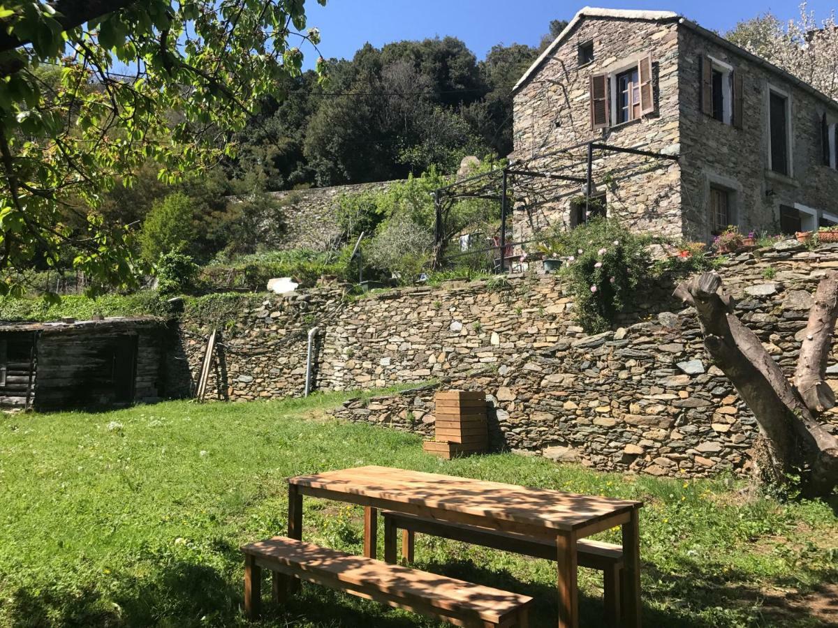 Maison De Charme Corse Sauvage Pietra-di-Verde Экстерьер фото
